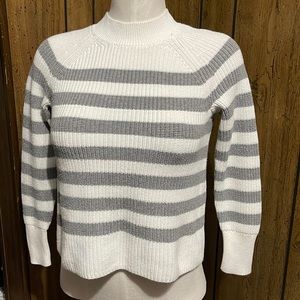 Banana Republic Striped Crewneck Sweater